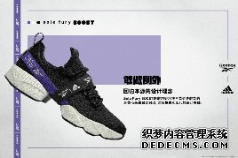 REEBOK SOLE FURY BOOST ˫ţʵ