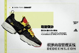 REEBOK SOLE FURY BOOST ˫ţʵ